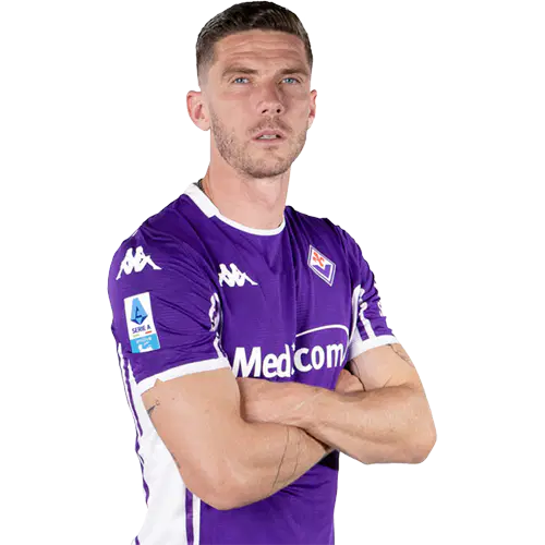 Робин Госенс