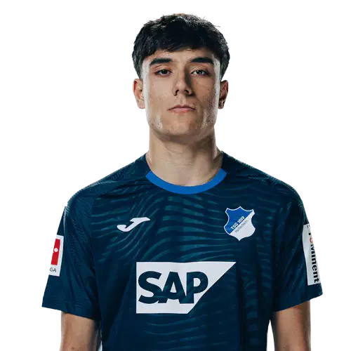 Денис Цайтлер