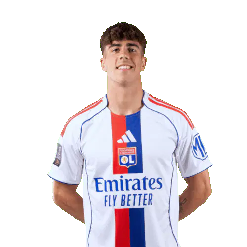 Афонсо Баштардо Морейра